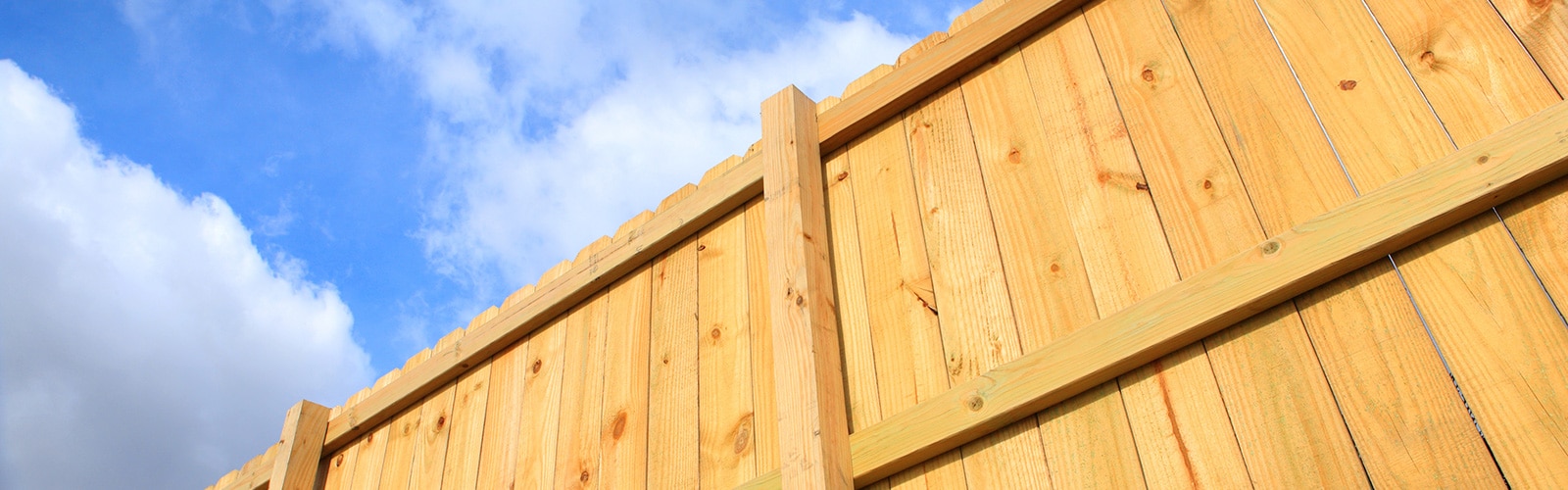 Deck and Fences